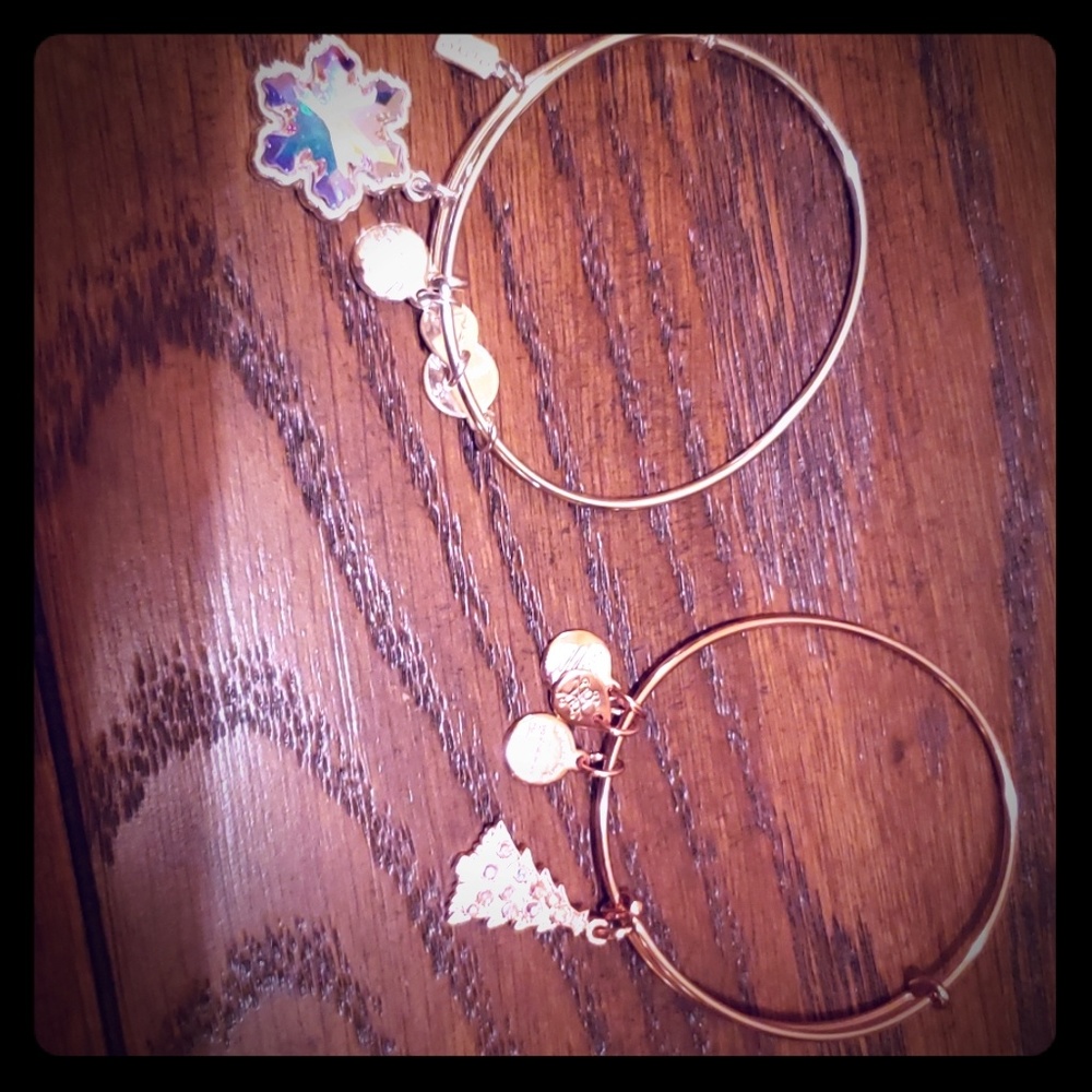 Set of 2 alex & ani holiday bracelets